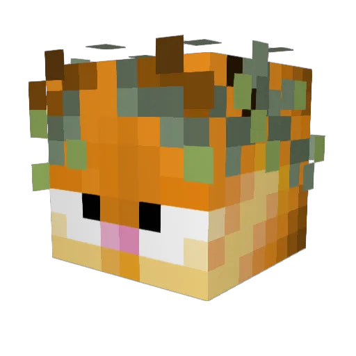 XTRAHandsomeMan Minecraft avatar head, 3D render