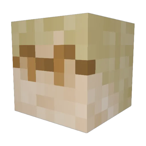 XTRME_ Minecraft avatar head, 3D render