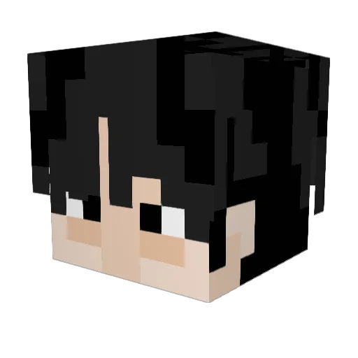 XTV10 Minecraft avatar head, 3D render