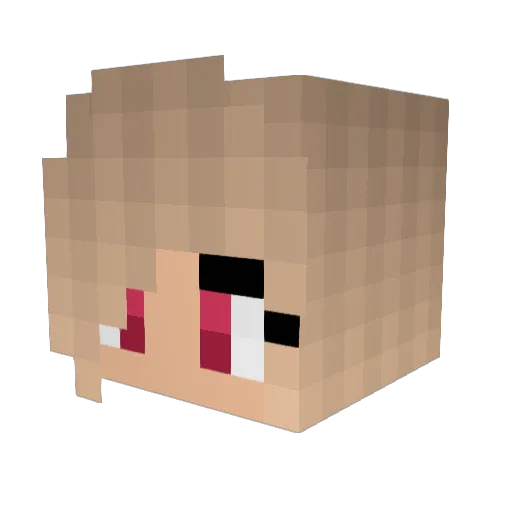 XTWINKLES Minecraft avatar head, 3D render