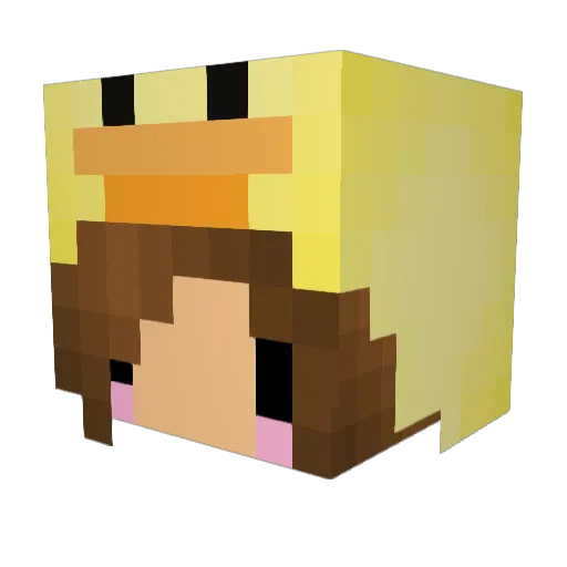 XTaylorX Minecraft avatar head, 3D render
