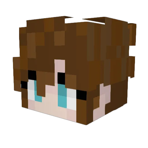 XThik806 Minecraft avatar head, 3D render
