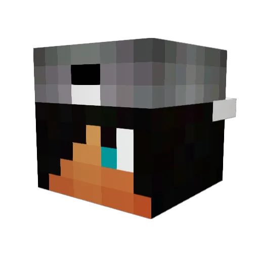 XThunder3000X Minecraft avatar head, 3D render