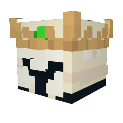 XTickedoffX Minecraft avatar head, 3D render