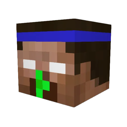 XTillmannX Minecraft avatar head, 3D render