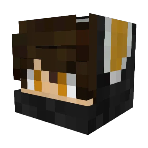 XTki4ler Minecraft avatar head, 3D render