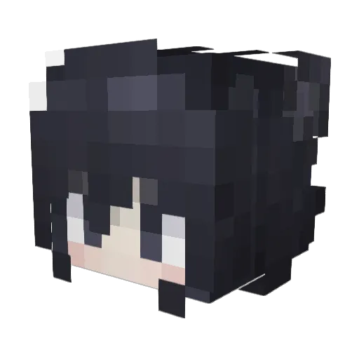 Minecraft-Avatar von XTokiame: Kopf als 3D-Render