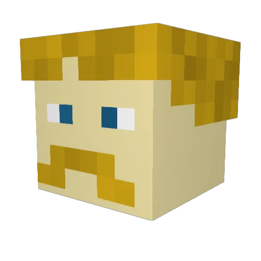 XTremeFarmer Minecraft avatar head, 3D render