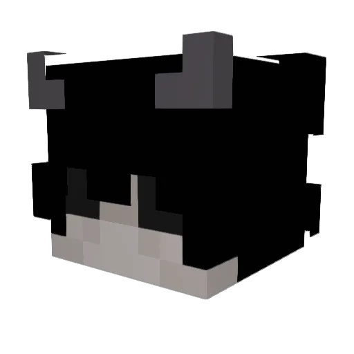 XTrouxa Minecraft avatar head, 3D render