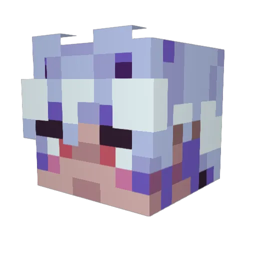 XTuch Minecraft avatar head, 3D render