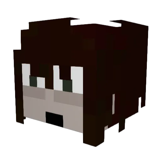 XURTYYYYYYYYYYYY Minecraft avatar head, 3D render