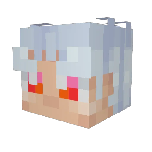 XV_11 Minecraft avatar head, 3D render