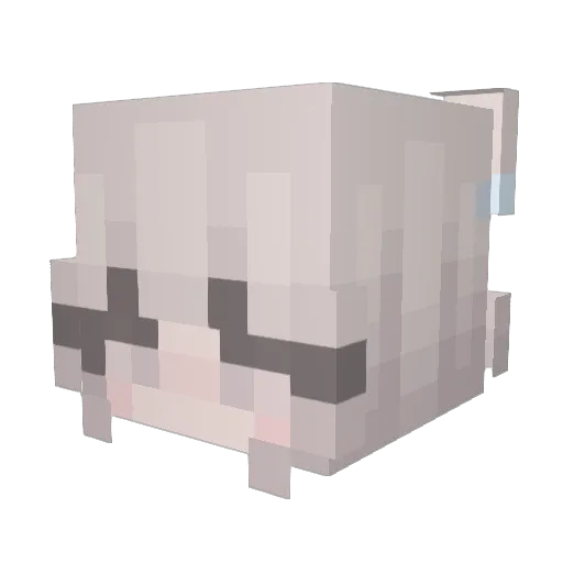 XVeertje Minecraft avatar head, 3D render