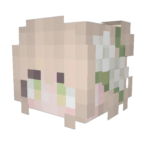 XWEI1216 Minecraft avatar head, 3D render