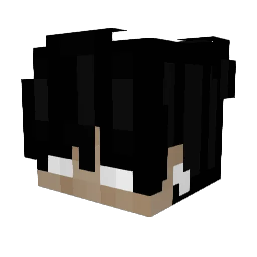 XWzlF Minecraft avatar head, 3D render