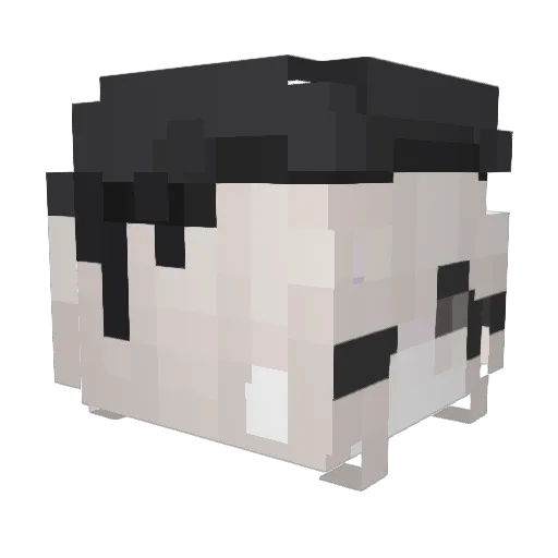 XX0u Minecraft avatar head, 3D render