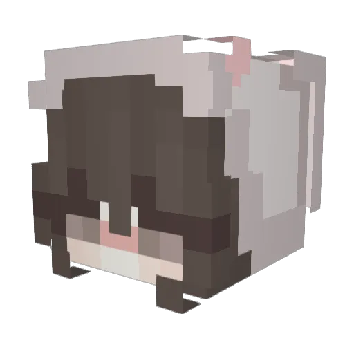 XXIV__ Minecraft avatar head, 3D render