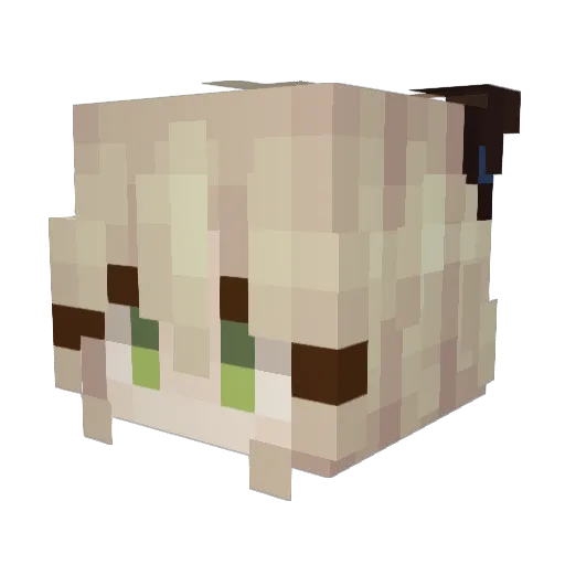XXMATADORXX99 Minecraft avatar head, 3D render