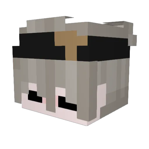 XXMODXX22 Minecraft avatar head, 3D render