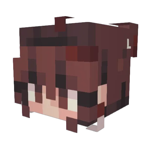 XXPSL2328 Minecraft avatar head, 3D render