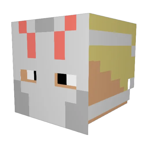 XXXDUCKXX Minecraft avatar head, 3D render