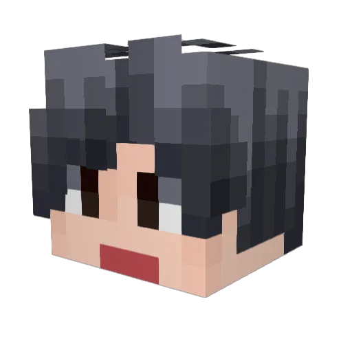 XXXXHHHHXXXX Minecraft avatar head, 3D render