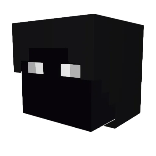XX_floneX Minecraft avatar head, 3D render