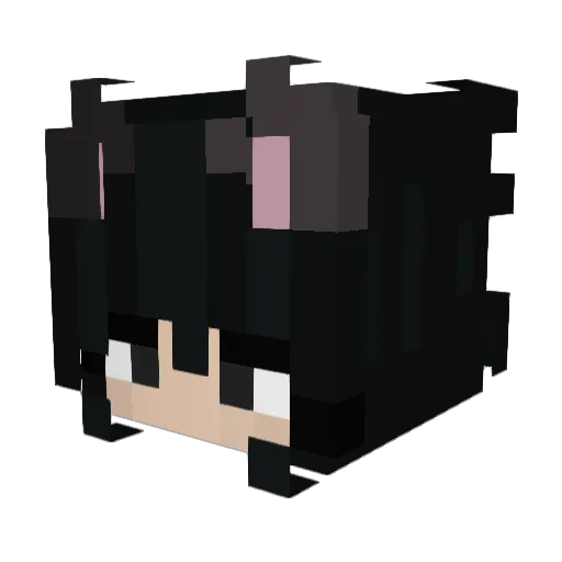 XXjaydennXX Minecraft avatar head, 3D render