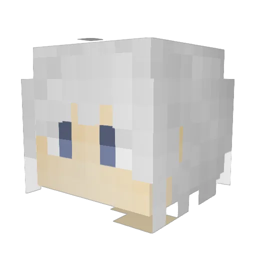 XZ_Kevin Minecraft avatar head, 3D render