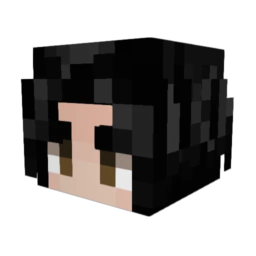 XZaIgoX Minecraft avatar head, 3D render