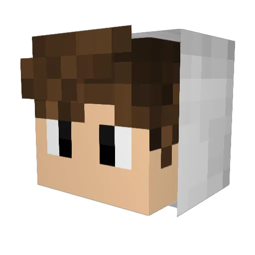 XZimbabweX420X Minecraft avatar head, 3D render