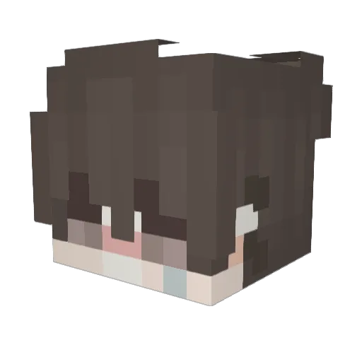 X_4LI_X Minecraft avatar head, 3D render