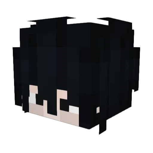 X_Axii Minecraft avatar head, 3D render