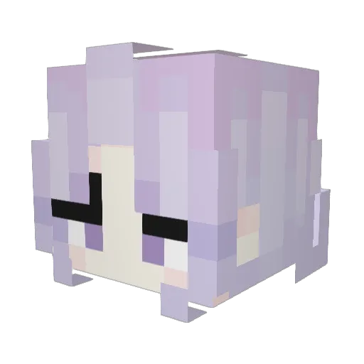 X_BestBoiKai_X Minecraft avatar head, 3D render