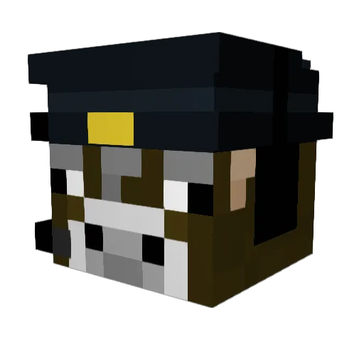 X_Boss77 Minecraft avatar head, 3D render