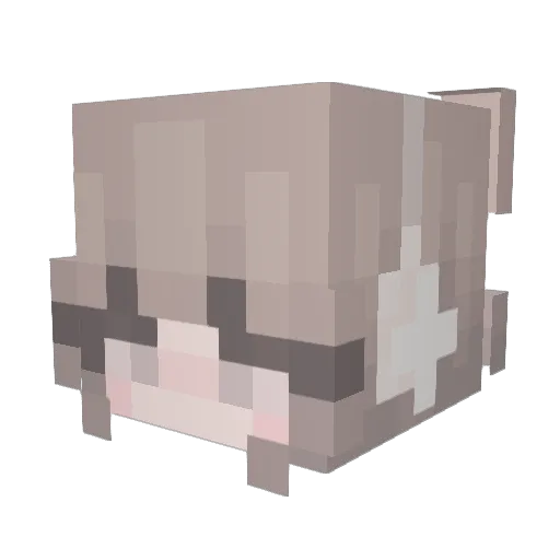 X_CCC Minecraft avatar head, 3D render