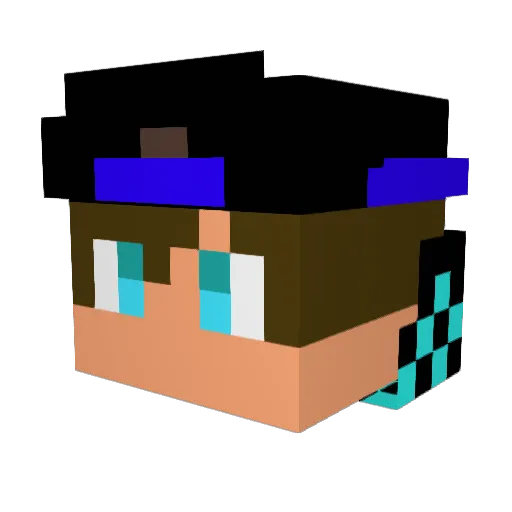 X_DiscoMaster_X Minecraft avatar head, 3D render