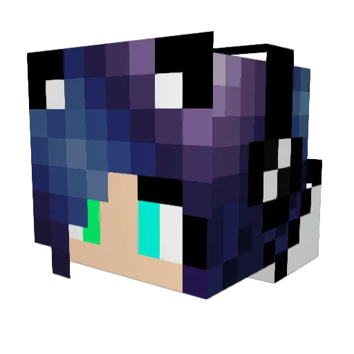 X_Galaxykitten_X Minecraft avatar head, 3D render