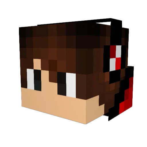 X_Ilamas07_X Minecraft avatar head, 3D render