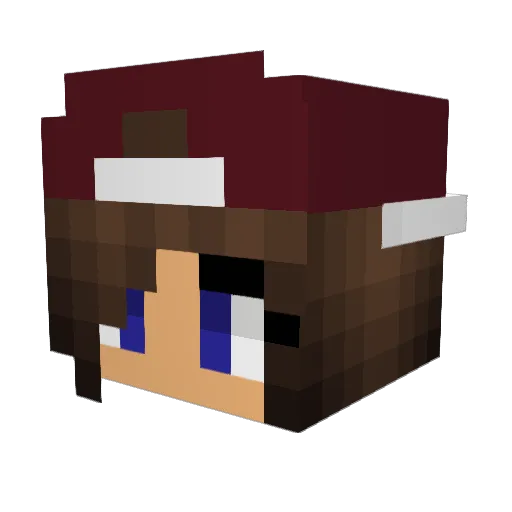 X_Kylee_X Minecraft avatar head, 3D render