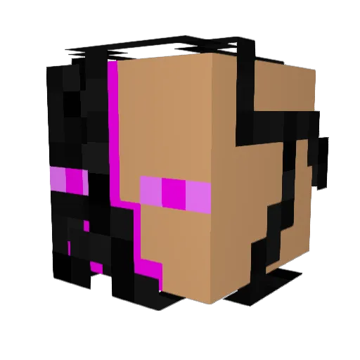 X_NFNF_24 Minecraft avatar head, 3D render