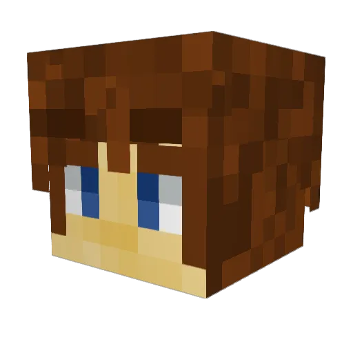 X_Naut00 Minecraft avatar head, 3D render