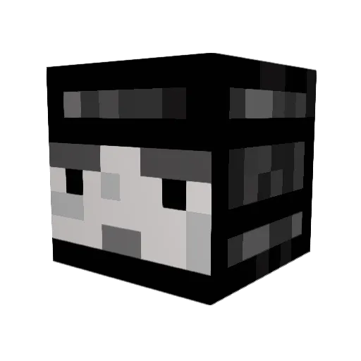 X_Ninja555 Minecraft avatar head, 3D render
