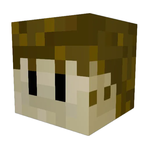 X_POLAR Minecraft avatar head, 3D render
