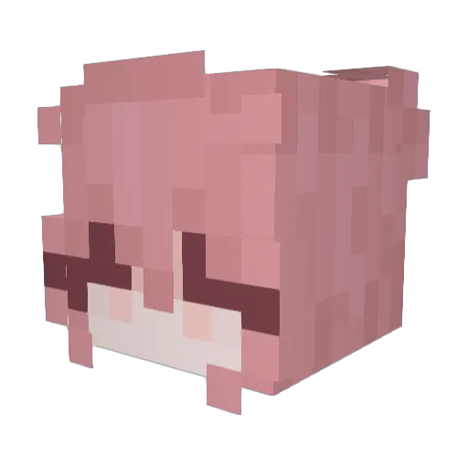 X_Ray Minecraft avatar head, 3D render