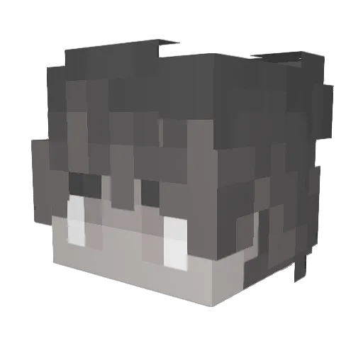 X_Reiki Minecraft avatar head, 3D render