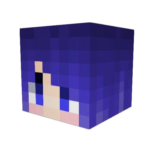 X_Sen Minecraft avatar head, 3D render
