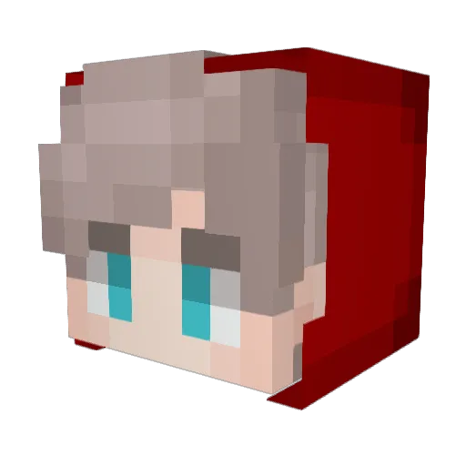 X_Shady_X Minecraft avatar head, 3D render