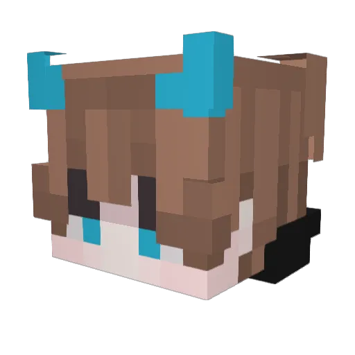 X_SherwinMC_X Minecraft avatar head, 3D render