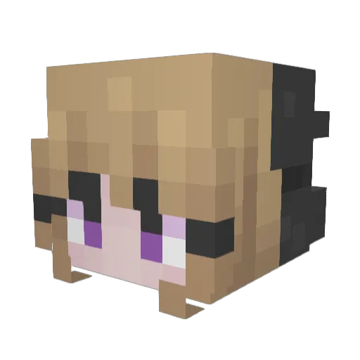 X_Shqdowzzz Minecraft avatar head, 3D render